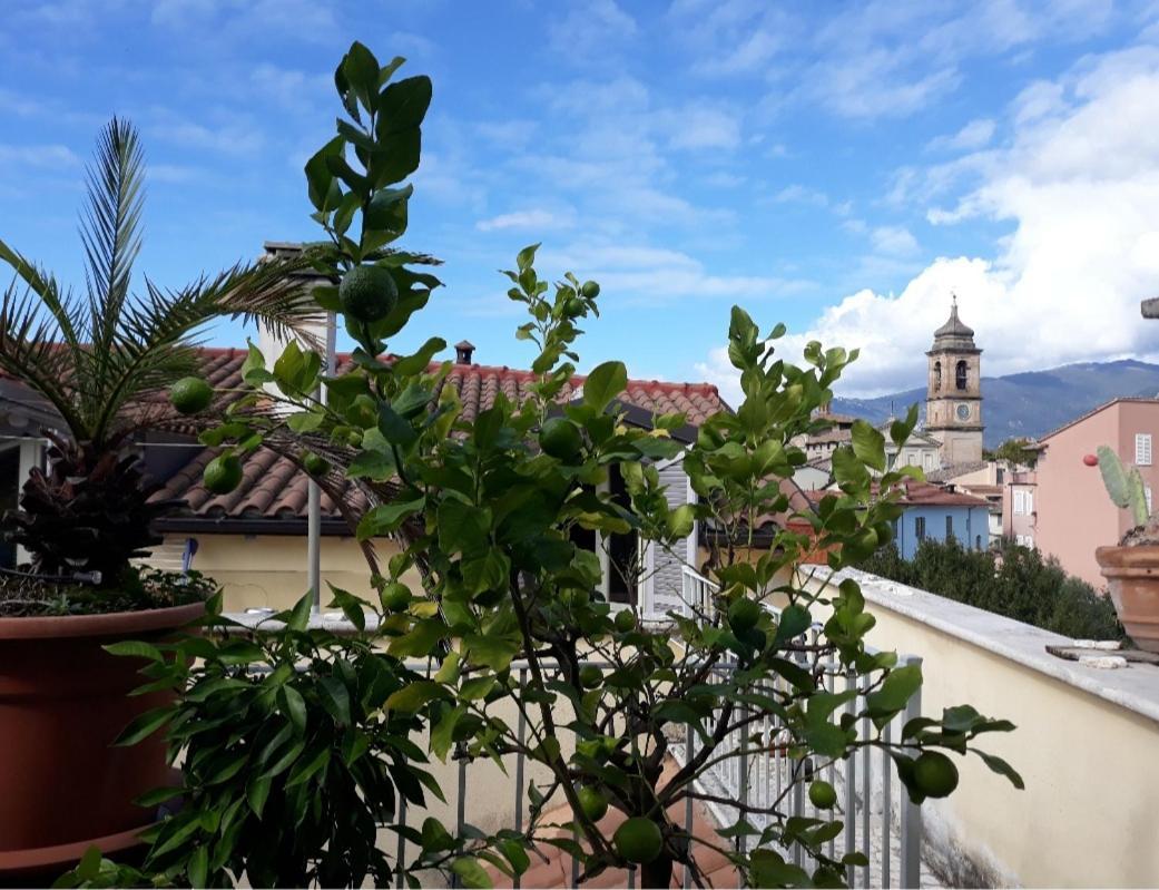 King Room Balcony